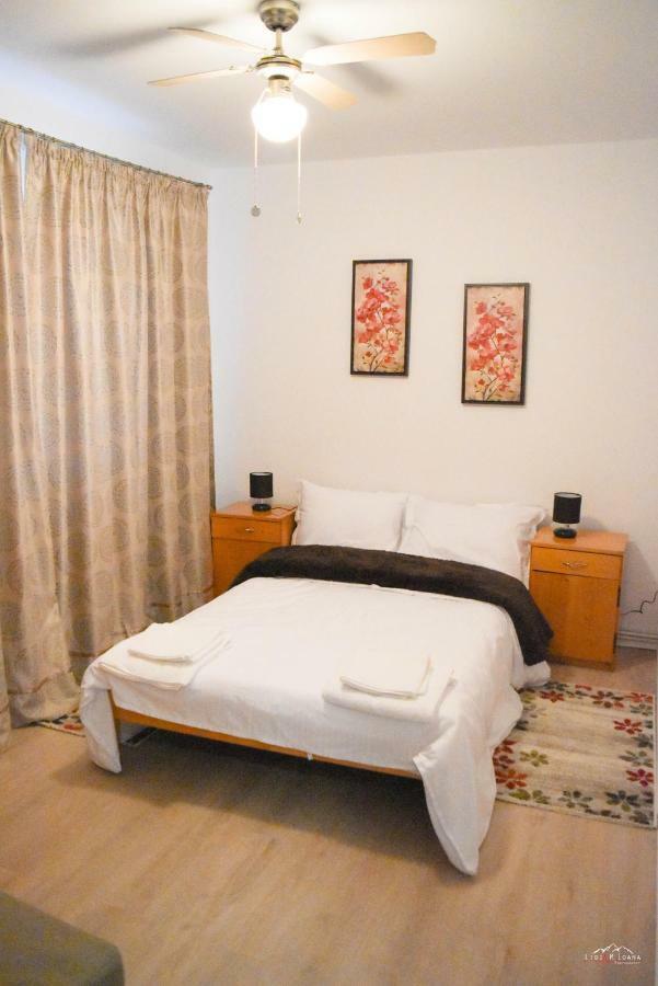 Spacious And Cozy 3Bd+Terrace Couples Apartment Timişoara Eksteriør bilde