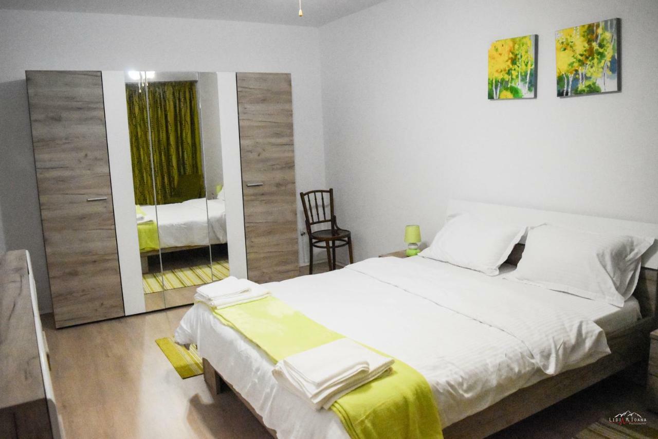 Spacious And Cozy 3Bd+Terrace Couples Apartment Timişoara Eksteriør bilde