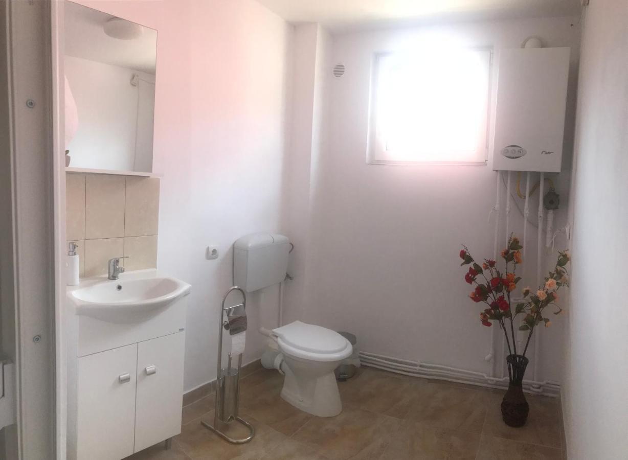 Spacious And Cozy 3Bd+Terrace Couples Apartment Timişoara Eksteriør bilde